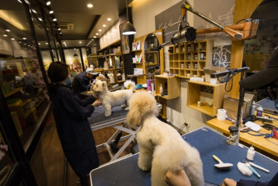 Lupet - là nơi cải thiện nhan sắc và sức khỏe cho các boss