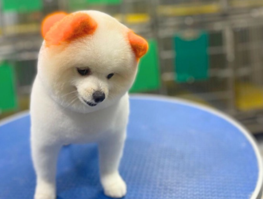 Xu hướng nhan sắc cho các boss